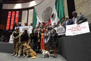 Aprueban reforma que prohíbe el maltrato animal y que obliga al Estado a cuidar a especies