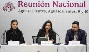 Esbozan las políticas a implementar entre estados y federación en la Reunión Nacional de Cultura