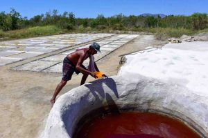 Poco a poco se pierde la añeja tradición de producir sal criolla en Rancho del Santo