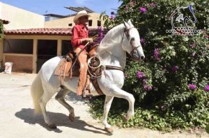 Acribillan al ganadero Luis Justo Herrera y a su escolta, en Azoyú; era padre del alcalde