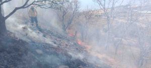 Se mantiene Guerrero en primer lugar en el país en incendios forestales con 22: Conafor