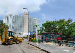 Deja la lluvia encharcamientos, una ceiba colapsada, y arrastre de basura y piedras