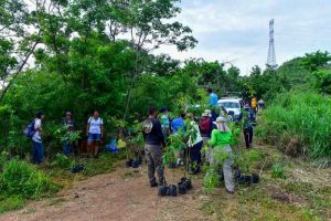 Se han mitigado las invasiones en el parque El Veladero este año, asegura el subdirector