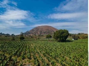 Buscarían ampliar el reconocimiento de la UNESCO a Cdmx y Xochimilco por su sistema de chinampas