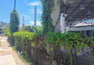 La avenida Michoacán sí, la Wilfrido Massieu no
