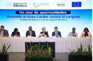 Acuerdan países del Gran Caribe desarrollar un plan de acción para combatir el sargazo