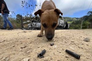 Asesinan a dos varones en la capital, a otro en Zihuatanejo y a tres más en Coyuca de Benítez