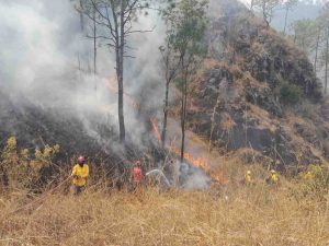 Lleva tres días un incendio forestal en la autopista en Chilpancingo y una semana otro en Pungarabato