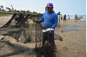 Sheinbaum solicita a la FGR que investigue el derrame de petróleo en el Golfo de México