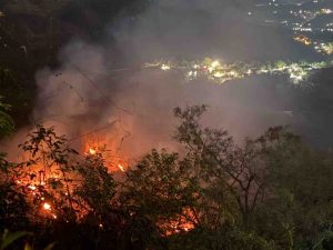 Hay nueve incendios forestales activos en el estado