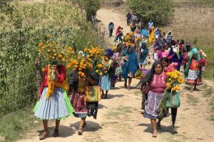 Anuncia Misión Civil de Observación-Sexta una visita a Chilapa para documentar la violencia