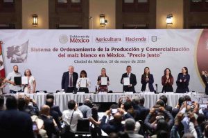 Lanza el gobierno plan de precio justo para maíz blanco; plantea compras anticipadas y protección a productores
