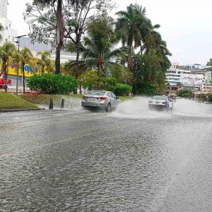 Deja la lluvia árboles caídos, un poste colapsado, apagones y arrastre de basura