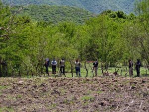Dejan un cuerpo en un tambo en Petatlán y matan a otros dos hombres en Iguala