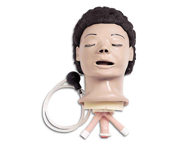 Life form Adult Airway Management Trainer Head < Nasco #LF03603U 