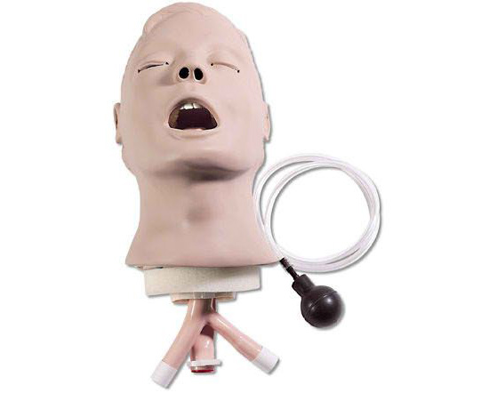 Life form Airway Larry Adult Airway Management Trainer Head < Nasco #LF03667U 