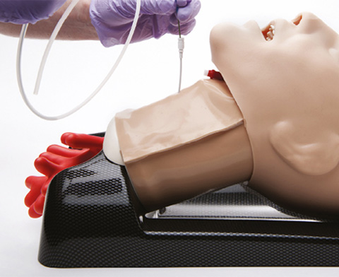 AirSim Advance Combo Bronchi Airway Manikin < TruCorp #CTC95100 