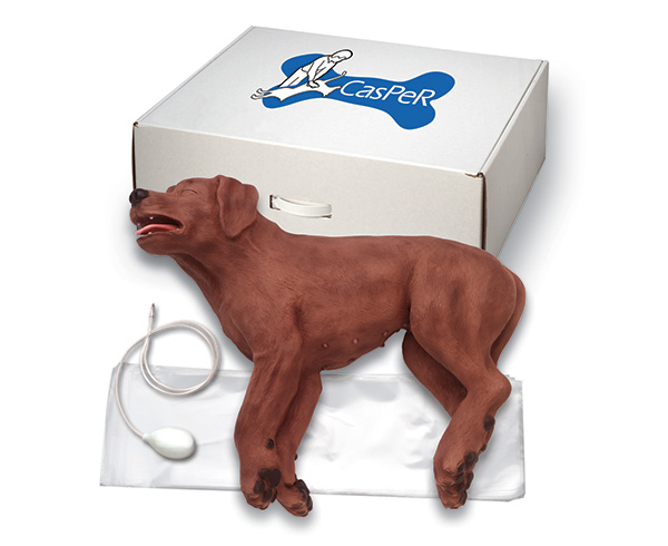 Casper Cpr Dog < simulaids #5000 