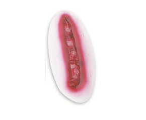 Large Laceration 5 Cm Stickon < simulaids #903 