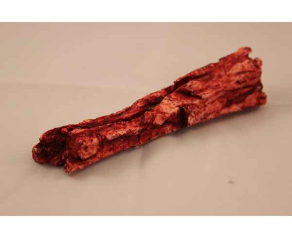 Bone Fragment (1 of 10) Tibia Short < #TMK-EPS-44-06 