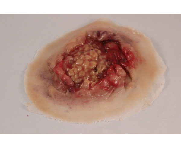 Fatty Tissue/Non-Dynamic (1) < #TMK-EPS-08-01-01 