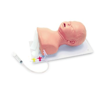 Advanced Intubation Trainer, Infant < simulaids #130 