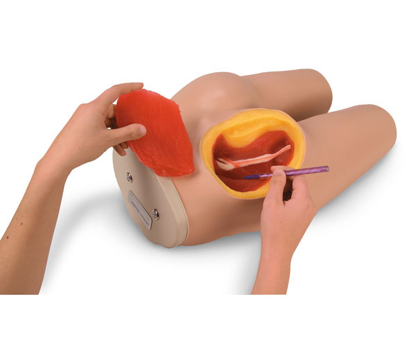 Life/form Intramuscular Injection Simulator < Nasco #LF00961U 