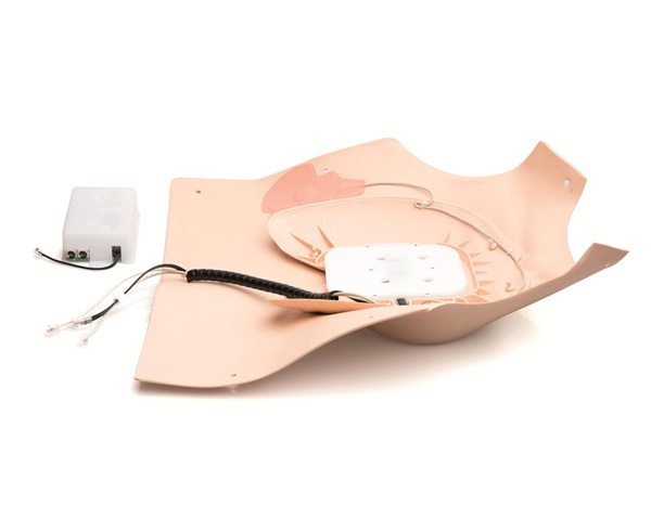 QCPR Conversion Kit for the Rescue Anne CPR Manikin < Laerdal #173-50750 