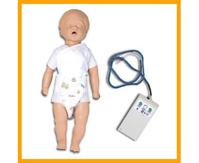 Console Box for Full Body Manikin, Adult, Adam & AJ < Simulaids #2031 