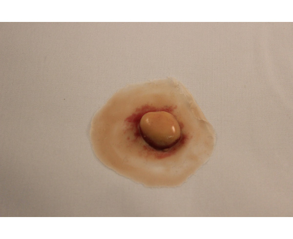 Boil (Small) (1) < #TMK-EPS-47-01 
