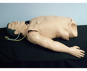 PHTLS (PreHospital Trauma Life Support) Torso < simulaids #315 