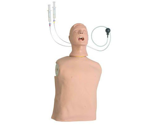 Life form Advanced Airway Larry Trainer < Nasco #LF03686U 