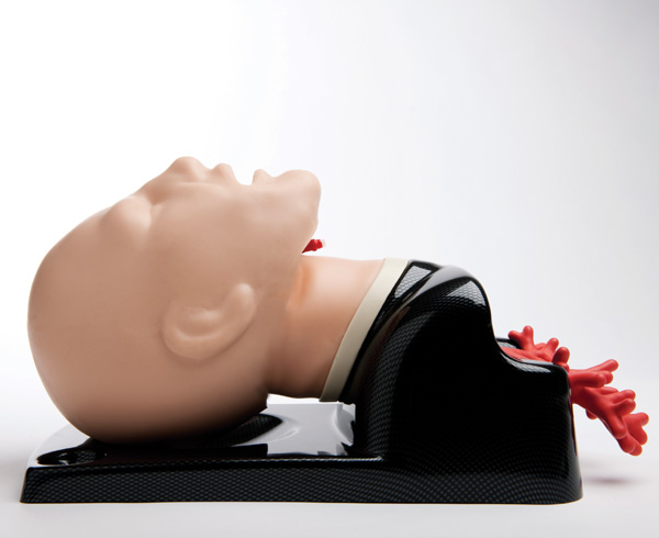 AirSim Advance Bronchi Airway Manikin < TruCorp #AA95100 