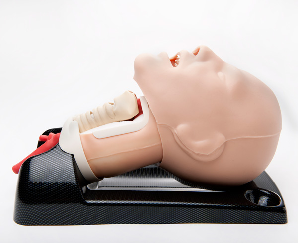 AirSim Advance Crico Airway Manikin < TruCorp #CR91100 