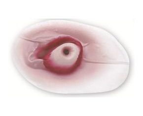 Eyeball-Stickon < simulaids #900 