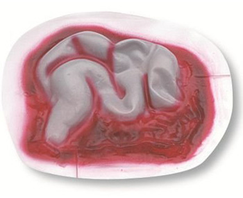 Eviscerated Intestines Stickon < simulaids #902 