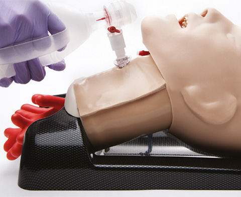 AirSim Advance Combo Bronchi Airway Manikin < TruCorp #CTC95100 