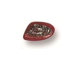 Jaw Wound < simulaids #829 