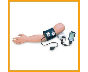 Blood Pressure Arm Simulator < simulaids #600 