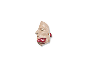 Bleeding Jaw Wound < simulaids #6807 