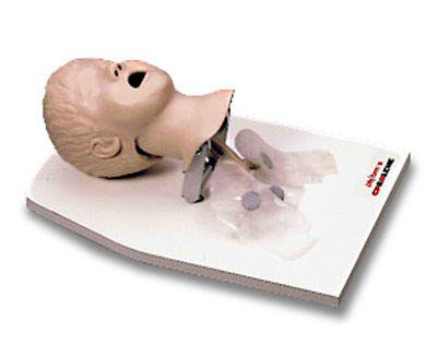 Life form Child Airway Management Trainer w/ Stand < Nasco #LF03609U 
