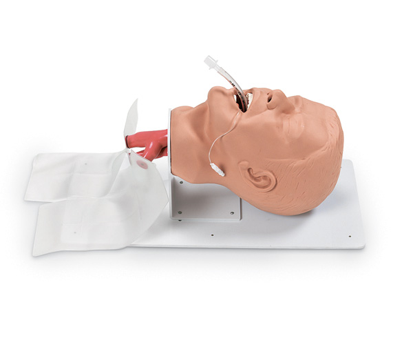 Economy Adult Intubation Head < simulaids #500 