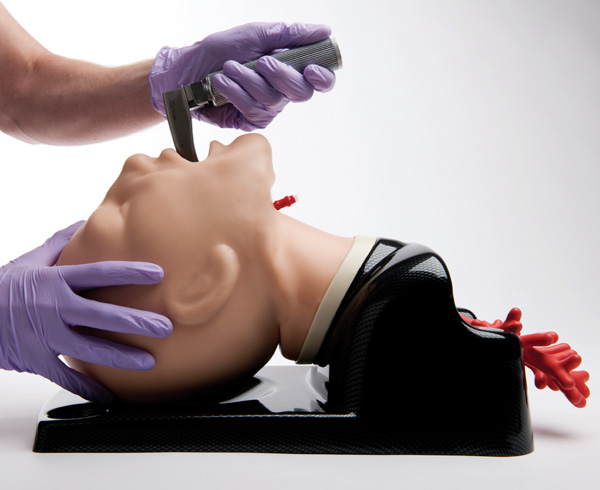 AirSim Advance Bronchi Airway Manikin < TruCorp #AA95100 