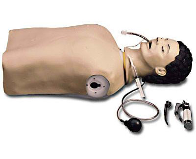 Life form Adult Airway Management Trainer Manikin < Nasco #LF03602U 