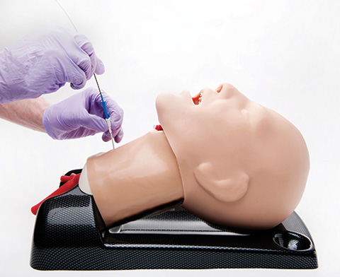 AirSim Advance Combo Bronchi Airway Manikin < TruCorp #CTC95100 
