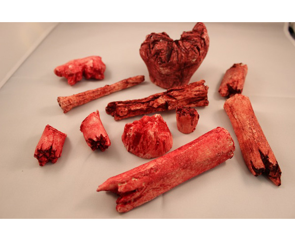 Bone Fragment (Set of 10 different) < #TMK-EPS-44-10 