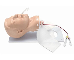 Adult Pda Deluxe Airway Head < simulaids #459 