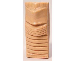 Life form Cricothyrotomy Simulator Cartilage Inserts Pack/12 < Nasco #LF01134U 