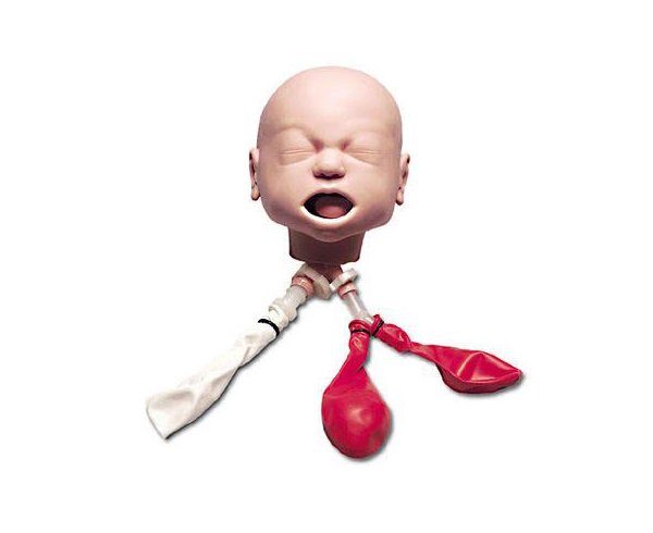 Life form Infant Airway Head Trainer < Nasco #LF03621U 