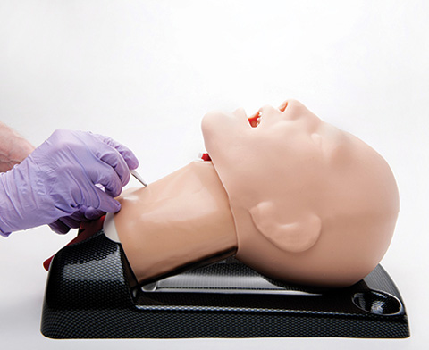 AirSim Advance Combo Bronchi Airway Manikin < TruCorp #CTC95100 